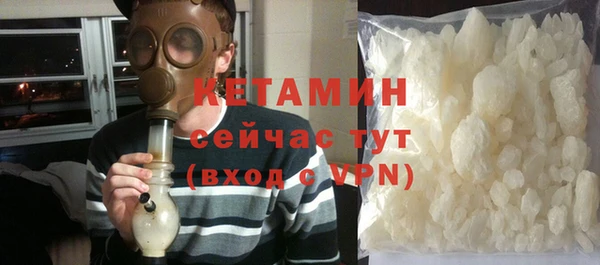 стафф Коряжма