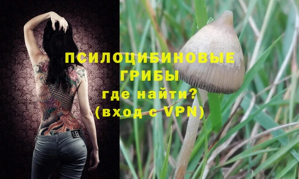 стафф Коряжма