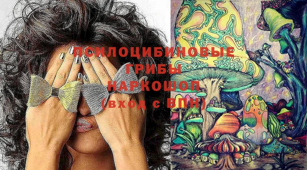 соль курить ск Корсаков