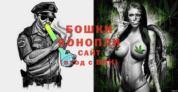 стафф Коряжма