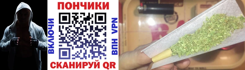 Бошки марихуана OG Kush  Купить где  Подпорожье 
